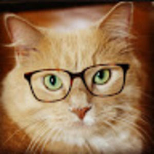 Meet your Posher, Lindsey